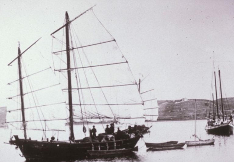 Robert Nash Collection